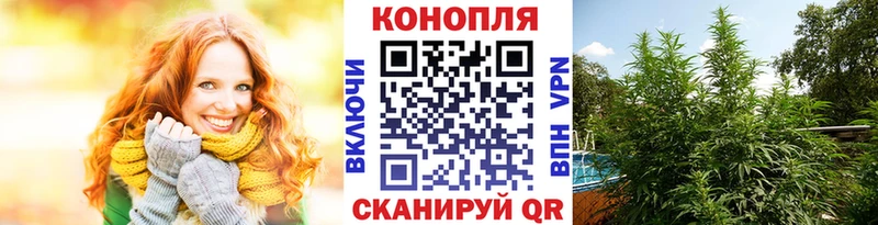 закладки  Новоульяновск  Каннабис Amnesia 